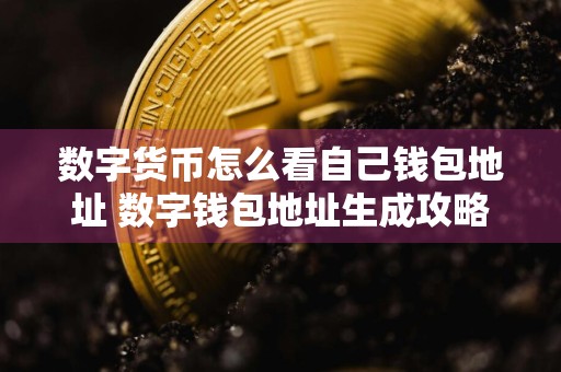 数字货币怎么看自己钱包地址 数字钱包地址生成攻略