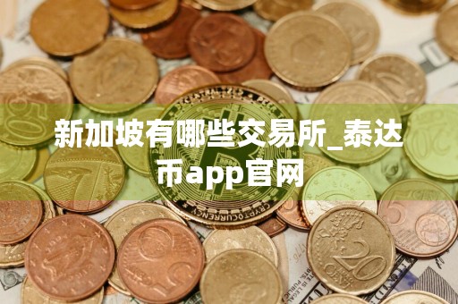 新加坡有哪些交易所_泰达币app官网