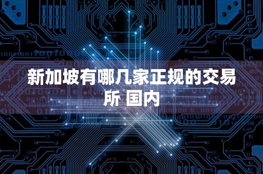 新加坡有哪几家正规的交易所 国内