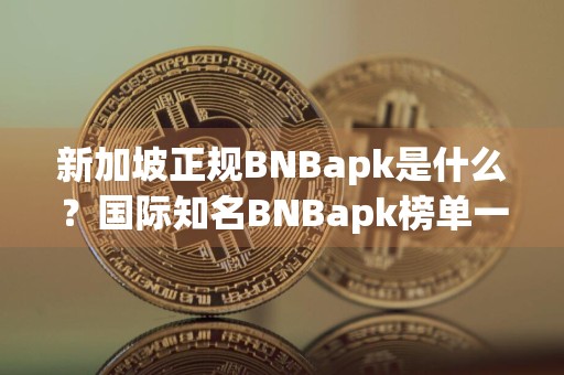 新加坡正规BNBapk是什么?国际知名BNBapk榜单一览