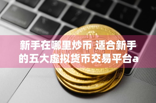 新手在哪里炒币 适合新手的五大虚拟货币交易平台app