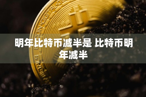 明年比特币减半是 比特币明年减半