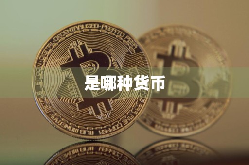 是哪种货币