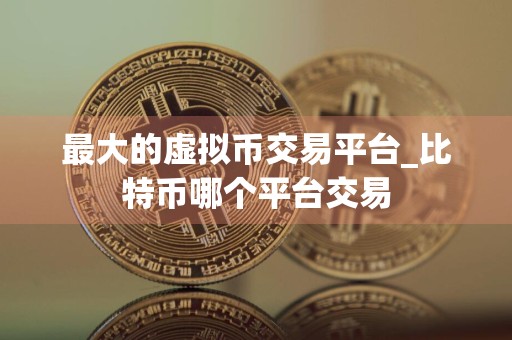 最大的虚拟币交易平台_比特币哪个平台交易