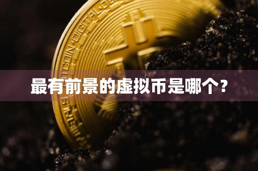 最有前景的虚拟币是哪个？