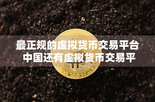 最正规的虚拟货币交易平台 中国还有虚拟货币交易平台吗