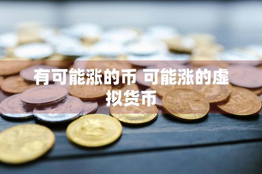 有可能涨的币 可能涨的虚拟货币