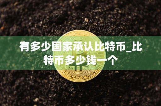 有多少国家承认比特币_比特币多少钱一个