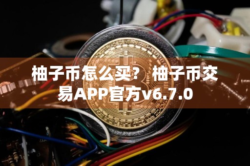 柚子币怎么买？ 柚子币交易APP官方v6.7.0