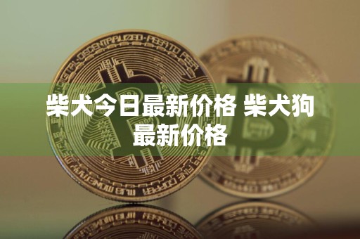 柴犬今日最新价格 柴犬狗最新价格