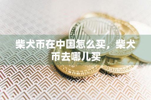 柴犬币在中国怎么买，柴犬币去哪儿买