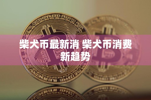 柴犬币最新消 柴犬币消费新趋势