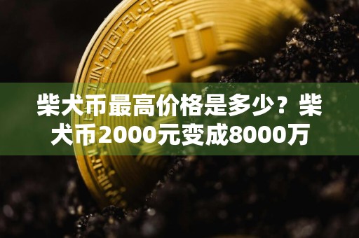 柴犬币最高价格是多少?柴犬币2000元变成8000万