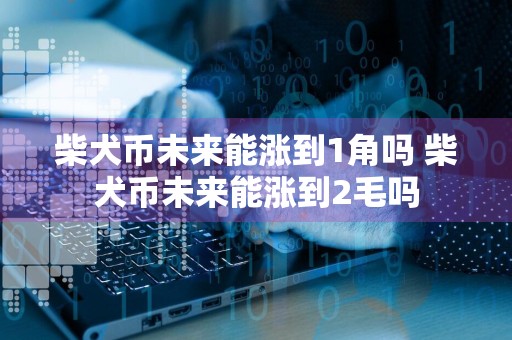 柴犬币未来能涨到1角吗 柴犬币未来能涨到2毛吗