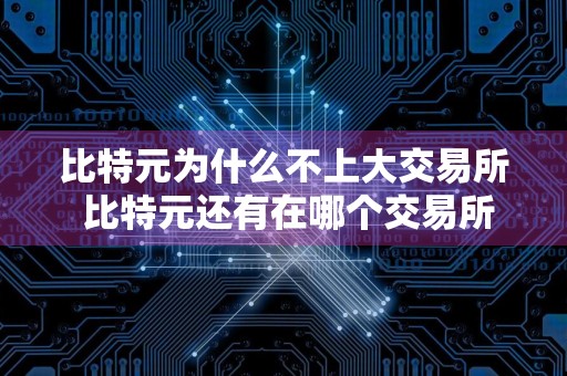 比特元为什么不上大交易所 比特元还有在哪个交易所