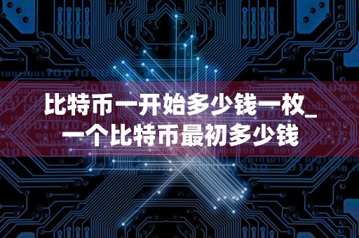 比特币一开始多少钱一枚_一个比特币最初多少钱