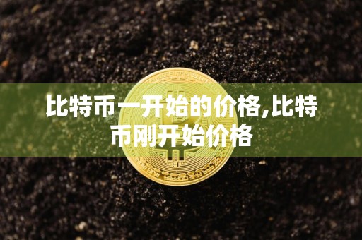 比特币一开始的价格,比特币刚开始价格