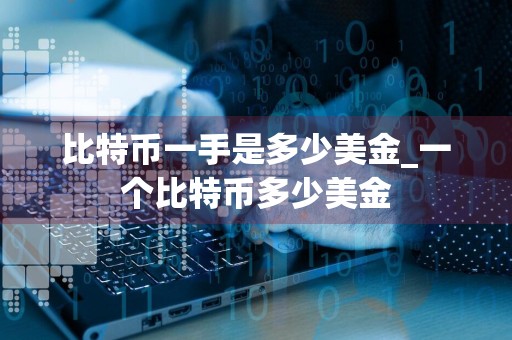 比特币一手是多少美金_一个比特币多少美金
