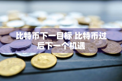 比特币下一目标 比特币过后下一个机遇