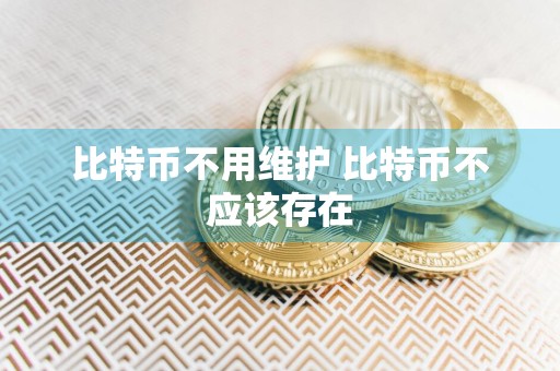 比特币不用维护 比特币不应该存在
