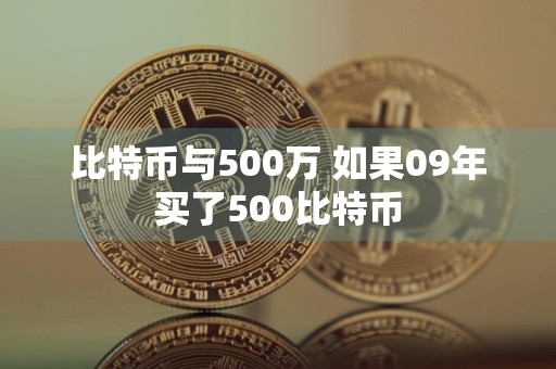 比特币与500万 如果09年买了500比特币
