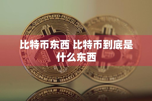 比特币东西 比特币到底是什么东西