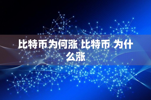 比特币为何涨 比特币 为什么涨
