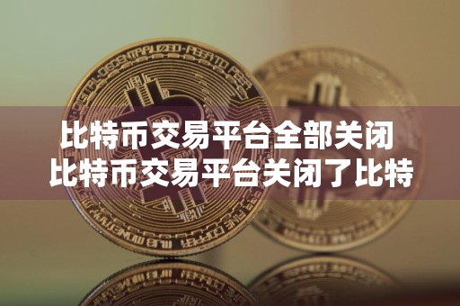 比特币交易平台全部关闭 比特币交易平台关闭了比特币还在吗