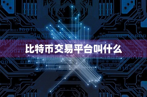 比特币交易平台叫什么