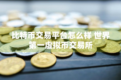 比特币交易平台怎么样 世界第一虚拟币交易所