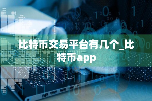 比特币交易平台有几个_比特币app