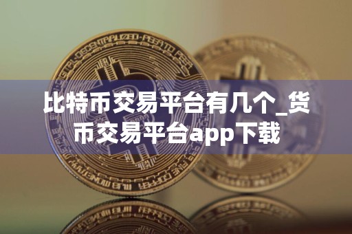 比特币交易平台有几个_货币交易平台app下载