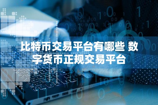 比特币交易平台有哪些 数字货币正规交易平台