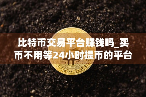 比特币交易平台赚钱吗_买币不用等24小时提币的平台