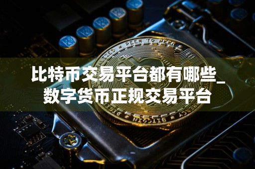 比特币交易平台都有哪些_数字货币正规交易平台