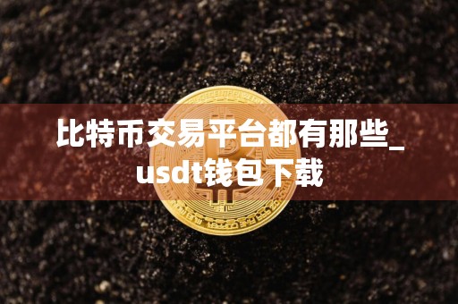 比特币交易平台都有那些_usdt钱包下载