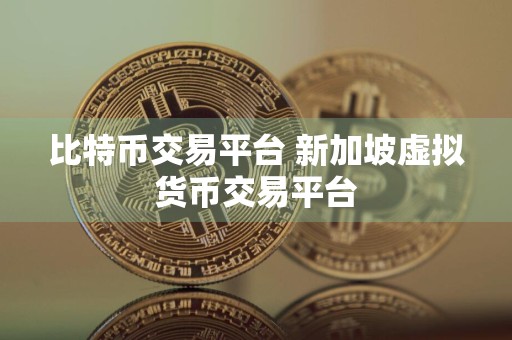 比特币交易平台 新加坡虚拟货币交易平台