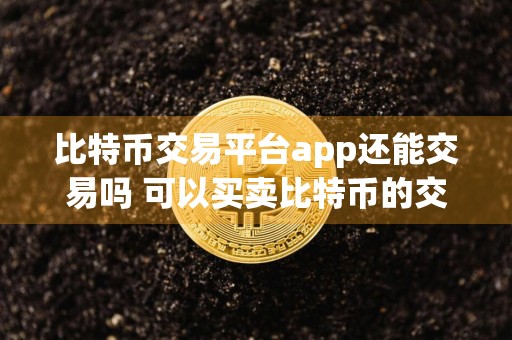 比特币交易平台app还能交易吗 可以买卖比特币的交易软件
