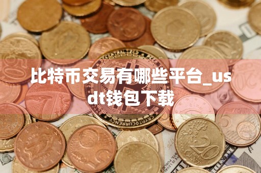 比特币交易有哪些平台_usdt钱包下载