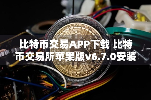 比特币交易APP下载 比特币交易所苹果版v6.7.0安装地址