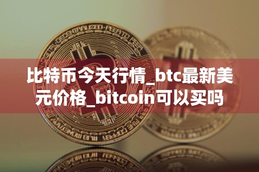 比特币今天行情_btc最新美元价格_bitcoin可以买吗