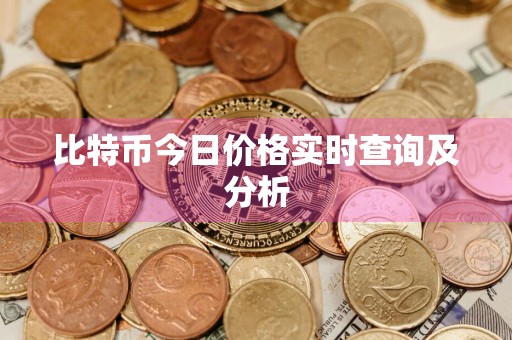 比特币今日价格实时查询及分析