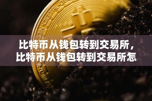 比特币从钱包转到交易所，比特币从钱包转到交易所怎么转