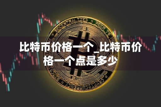 比特币价格一个_比特币价格一个点是多少
