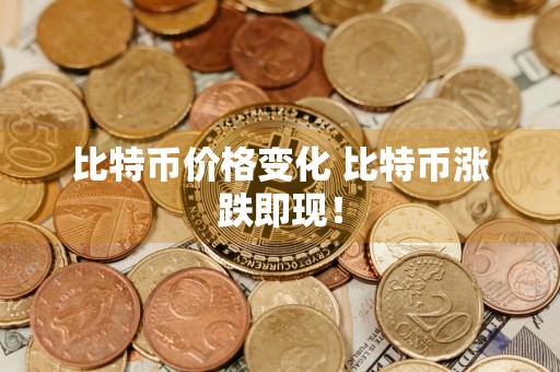 比特币价格变化 比特币涨跌即现!