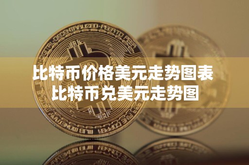 比特币价格美元走势图表 比特币兑美元走势图