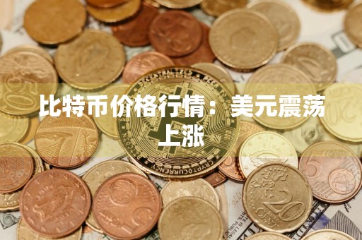 比特币价格行情：美元震荡上涨