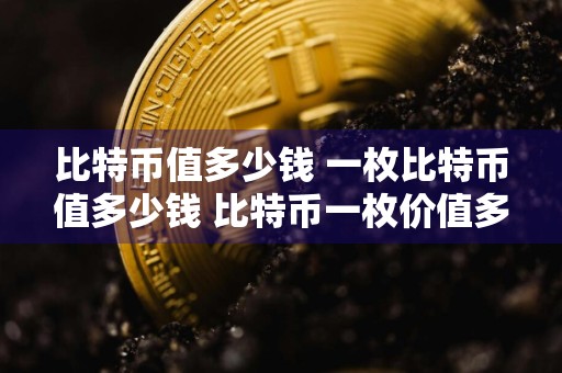 比特币值多少钱 一枚比特币值多少钱 比特币一枚价值多少
