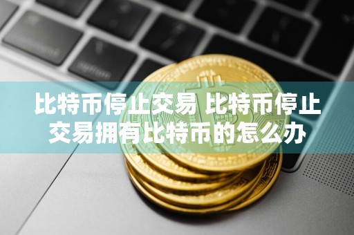 比特币停止交易 比特币停止交易拥有比特币的怎么办