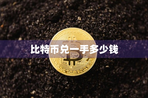 比特币兑一手多少钱